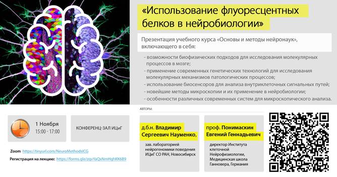 Доклад: Пример использования структурного подхода